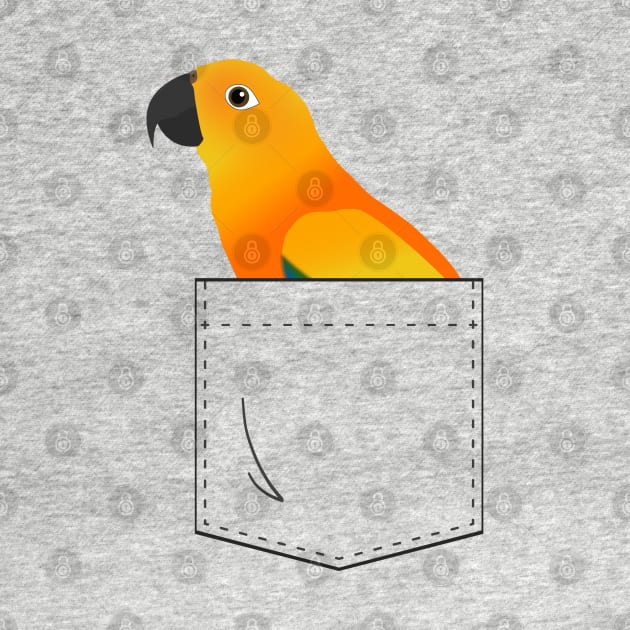 Sun Conure Parrot In Your Front Pocket by Einstein Parrot
